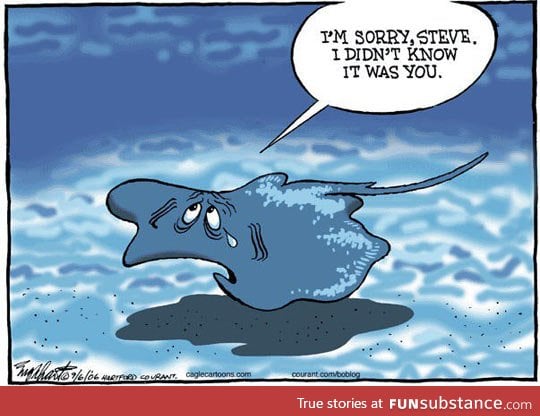 Stingray regrets