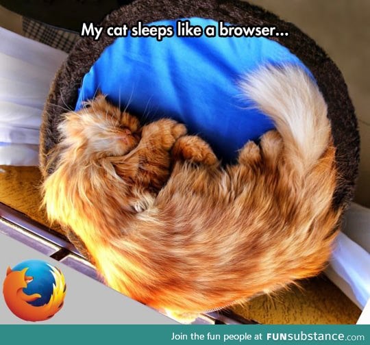 Meowzilla firefox