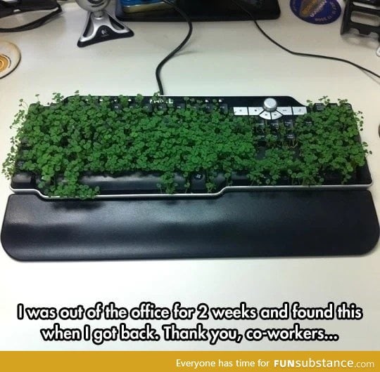 Keyboard plant