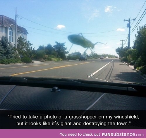 Godzilla Grasshopper