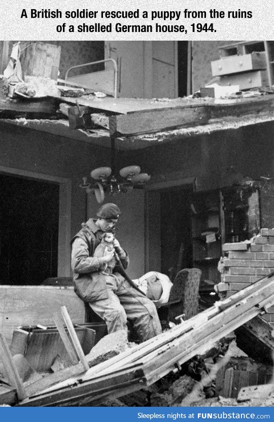 British soldier saved a puppy