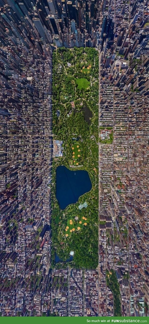 Central Park from above