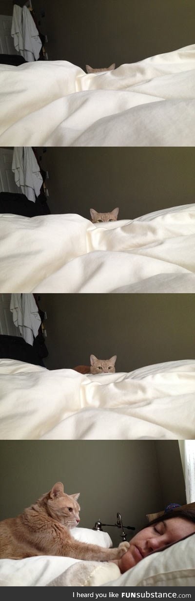 How cat people wake up