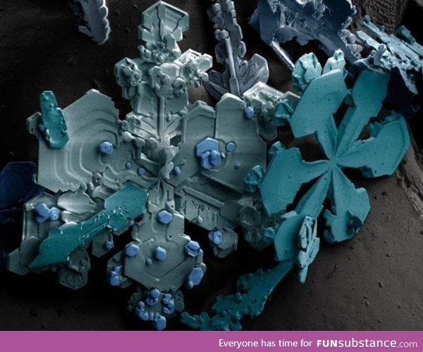 Snowflake under a scanning Electron Microscope