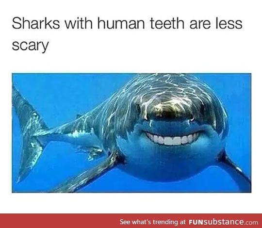 Human toothed sharks