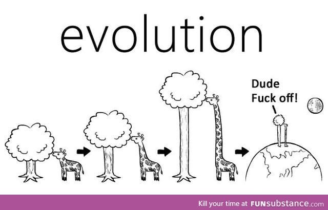 Evolution