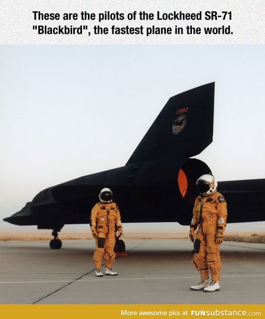 The fastest pilots in the world