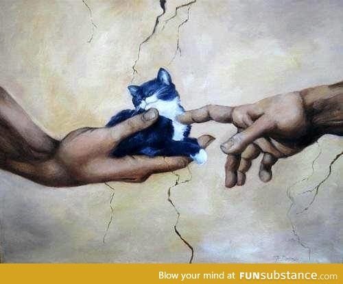 Creation of cat