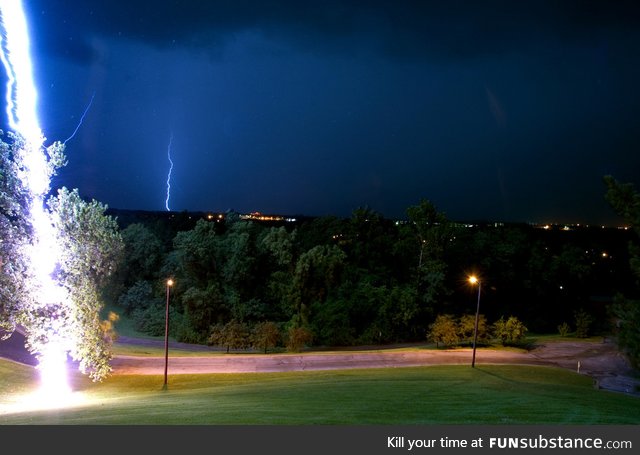 Amazing shot of lightning hitting a tree