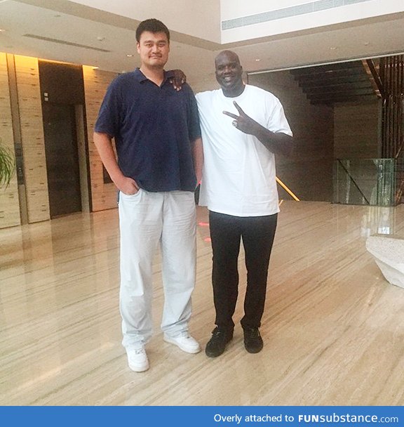 Shaq looks like Yao Ming's little brother