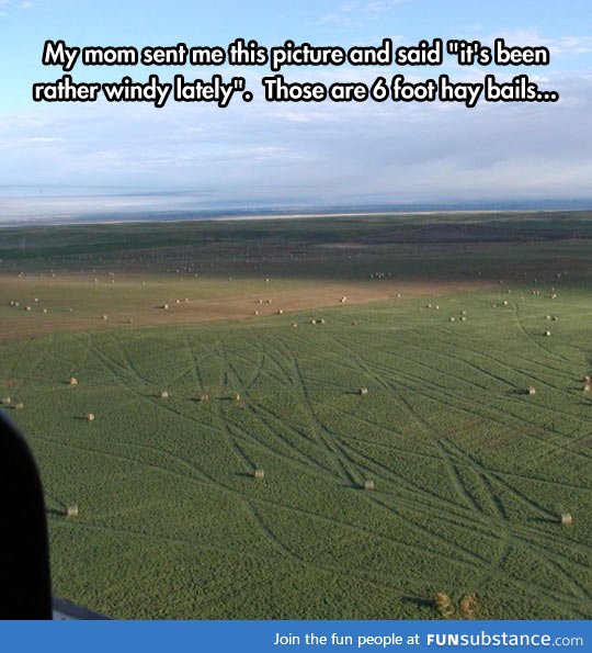 Hay bails rolling in the field