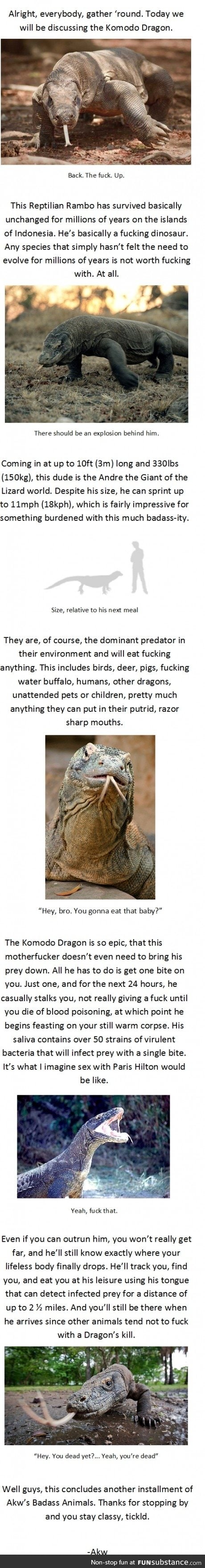 The badass Komodo Dragon