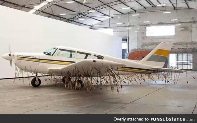 The anthropologists decided that this tribe was to remain "uncontacted"