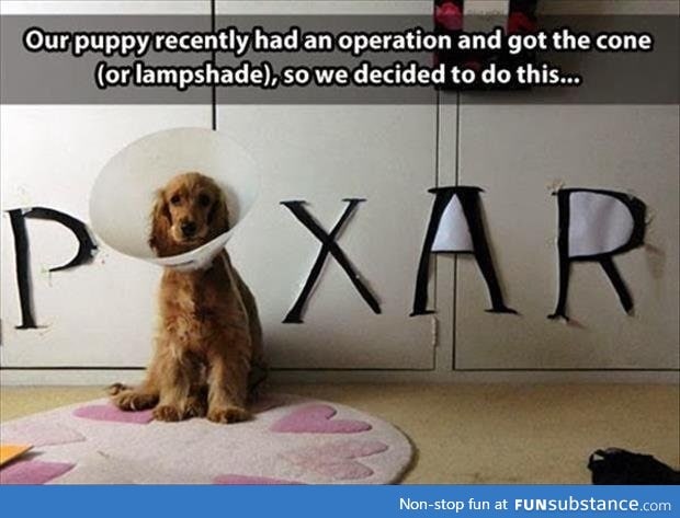 Well, pixar dog