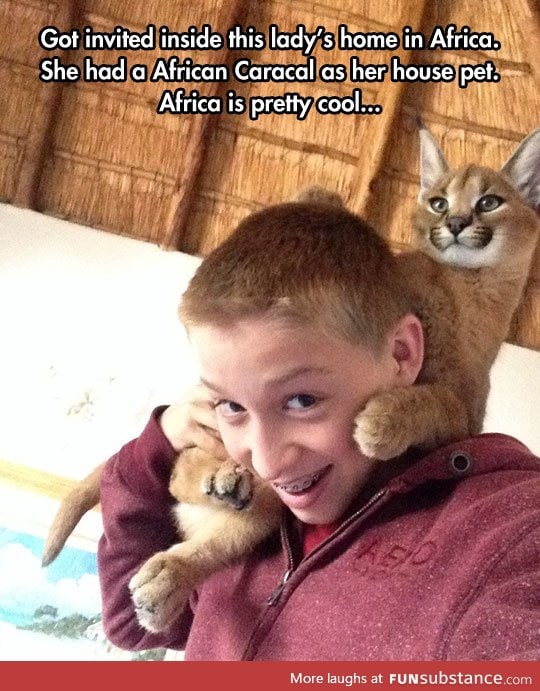 You bet africa cat is pretty cool