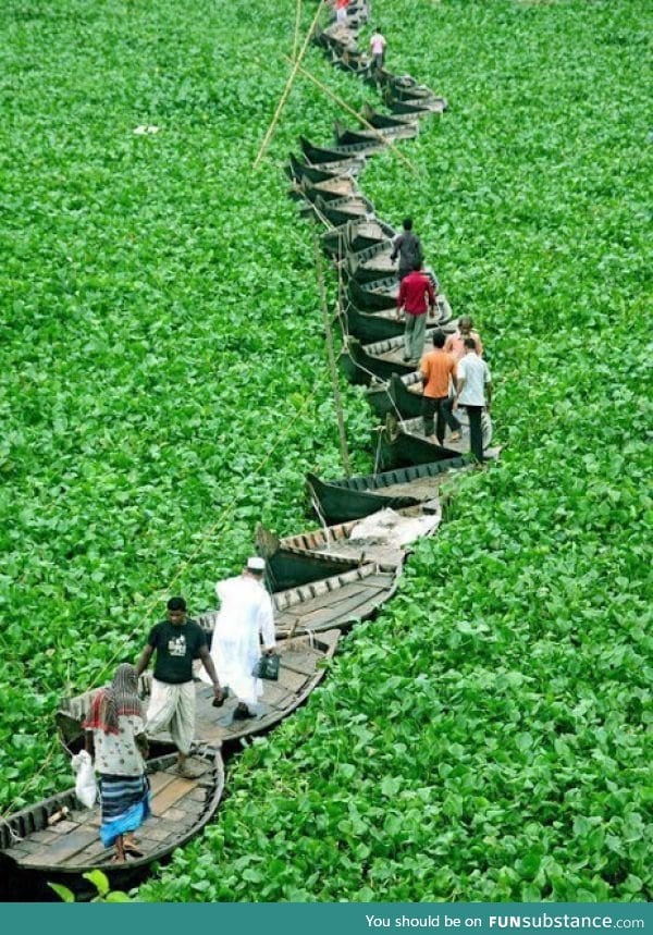 Boat bridge