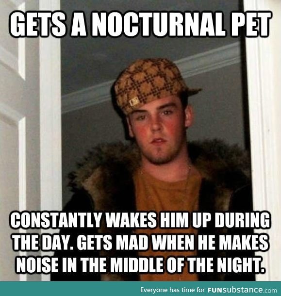 My cat probably thinks I'm a scumbag