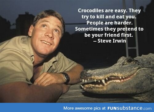 Omg Steve Irwin, best day ever -crocodile