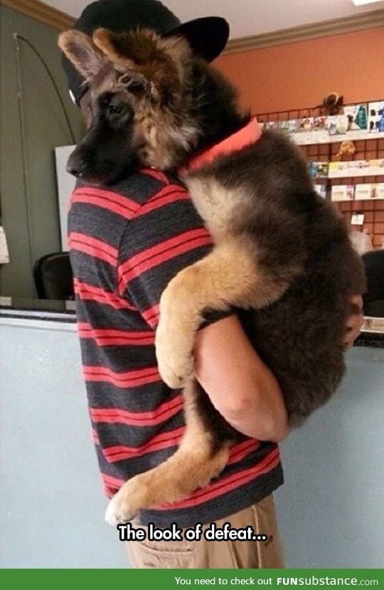 That Empty And Sad Face When You Enter The Vet's Office