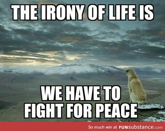 The irony of life