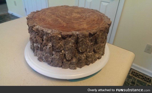 Cake a daughter made for her lumberjack dad