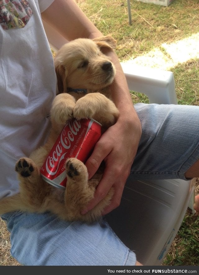 Ice cold can on a warm belly