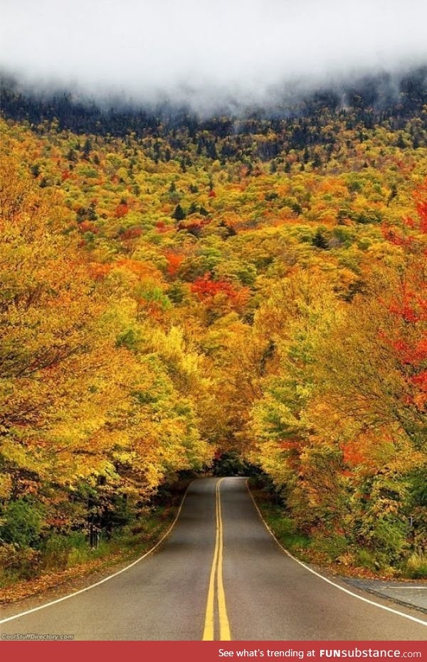 Fall in Vermont