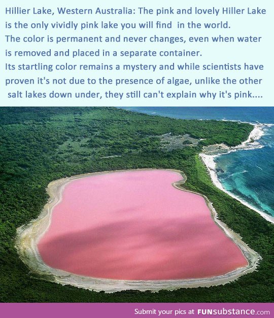 The only vividly pink lake in the world