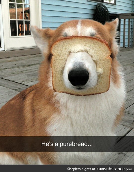 He looks inbred to me