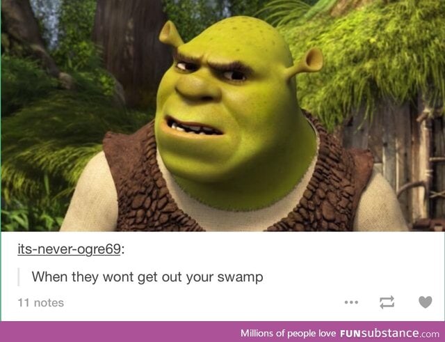 What are you doing in my swamp