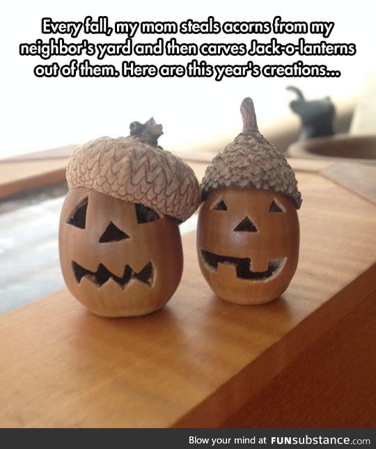 Jack-o-acorns