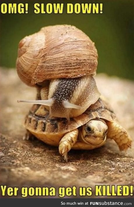 Mmmm... Go slower, slower..!