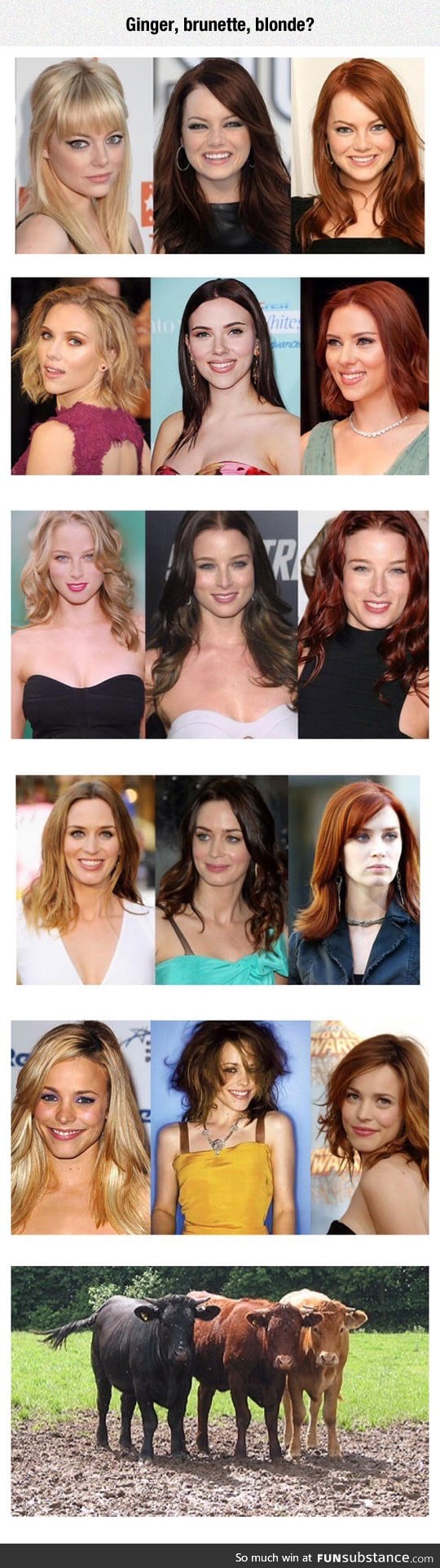 Blonde, Brunette, Ginger?