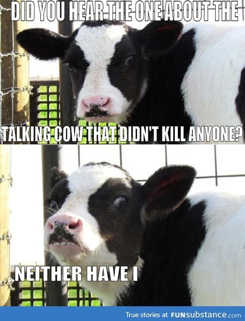 Evil Cow know where you live!