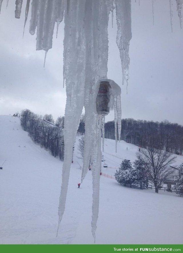 This icicle had a beer can in it