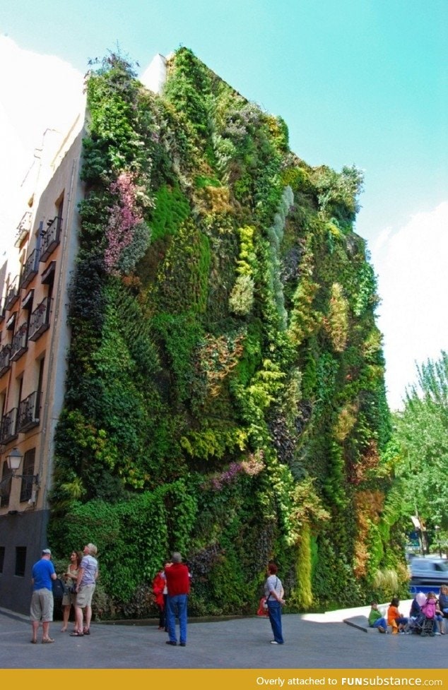 Vertical garden