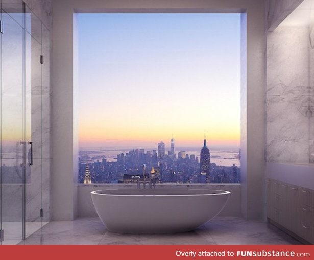 View from the bathroom of a 95 million dollar NYC apartment