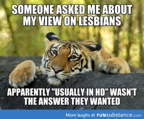 My view on Lesbians