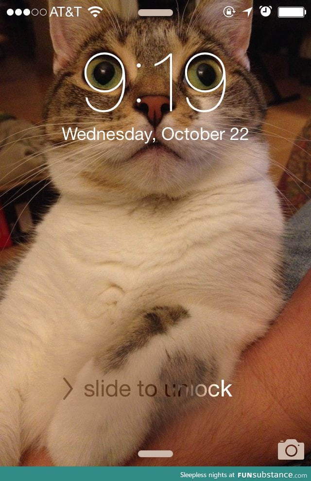 My lock screen is purrfect for two minutes a day