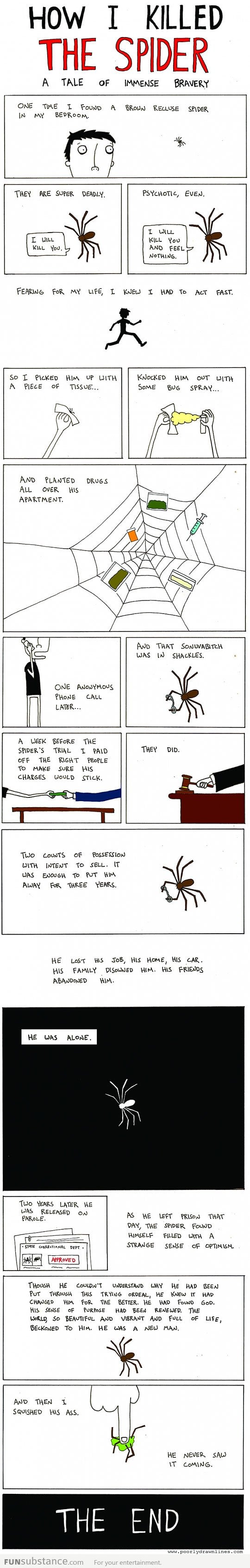 How I killed the spider