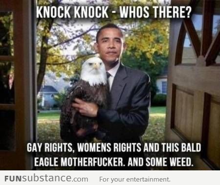 Knock Knock