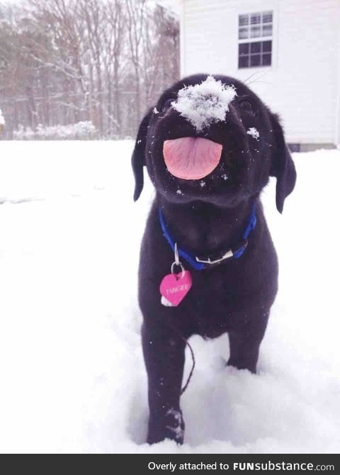 Day 30 of your daily dose of cute: The tongue week continues