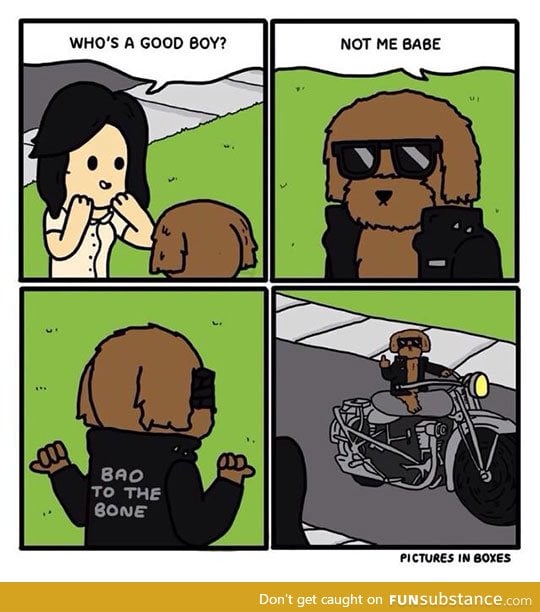 He's Bad To The Bone