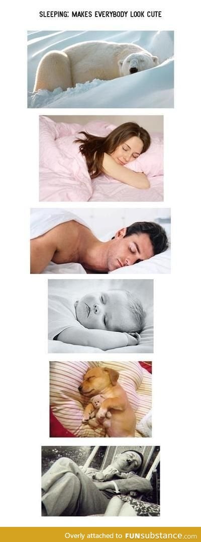 Everyone looks more cute when they sleep