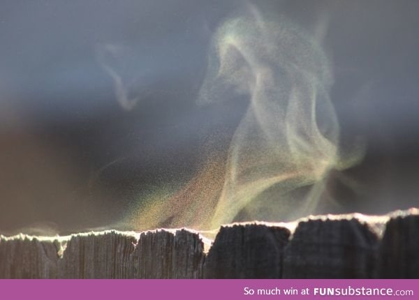 Morning dew evaporating from fence