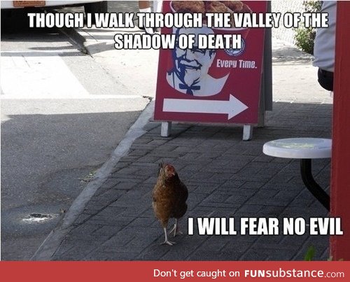 Go, Chicken!