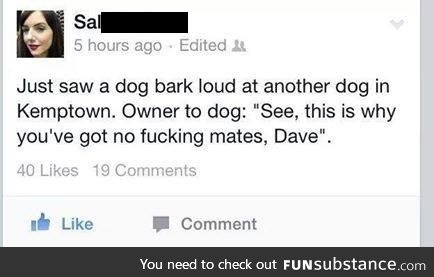 For f*ck sake dave