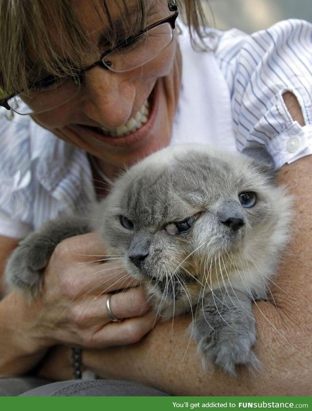 Rip: Frank and louie, the oldest 2-faced cat, dies at 15