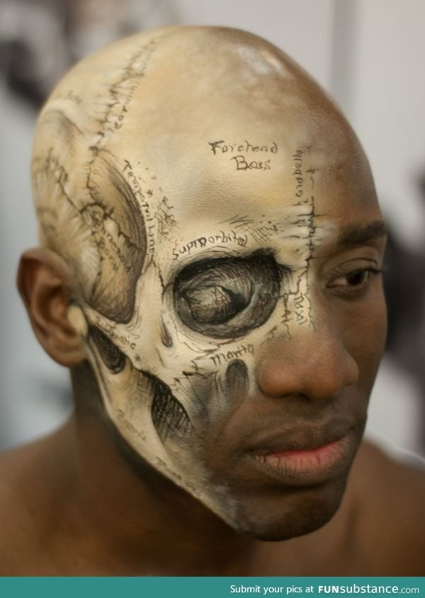 Anatomical make up