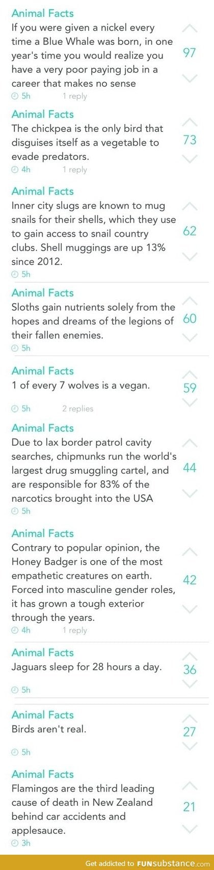 Animal facts